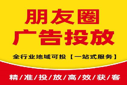 某品牌抖音信息流广告的投放过程与效果评估